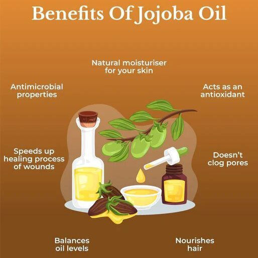 Jojoba Vegetable Oil 10 ml