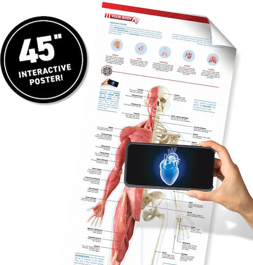 Virtual Reality Human Body STEM Lernspiel Wissen für 8-12 Jahre