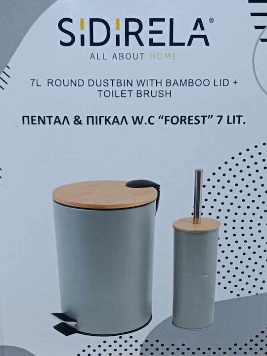 Sidirela Metallic Toilet Brush and Basket Set 7lt Gray