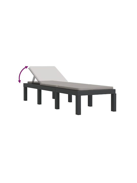 Sunbed Single Plastic with Cushion Gray 65x65x32cm.