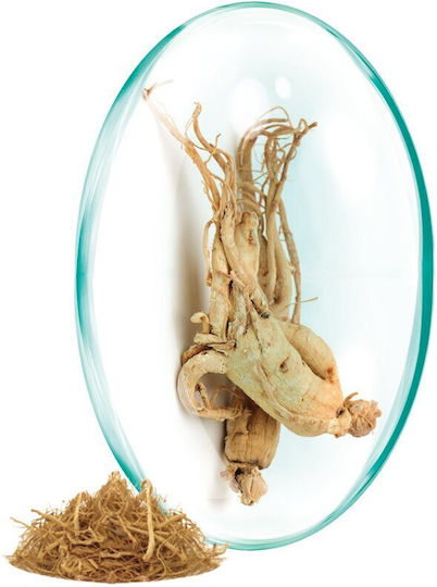 Rotta Natura Ginseng 4500mg 30 capace