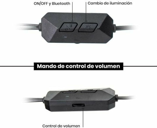 Woxter Big Bass 97 Bt Difuzoare de Calculator 2.0 în Gri Culoare