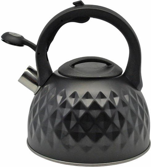 Ankor Βραστήρας Ανοξείδωτος Μαύρη 3000ml