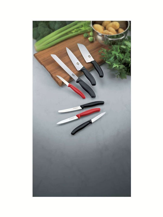 Victorinox Swiss Classic Messer Fleisch aus rostfreiem Stahl 22cm
