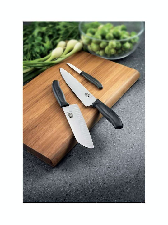 Victorinox Swiss Classic Cuțit de Brânză din Oțel Inoxidabil 11cm