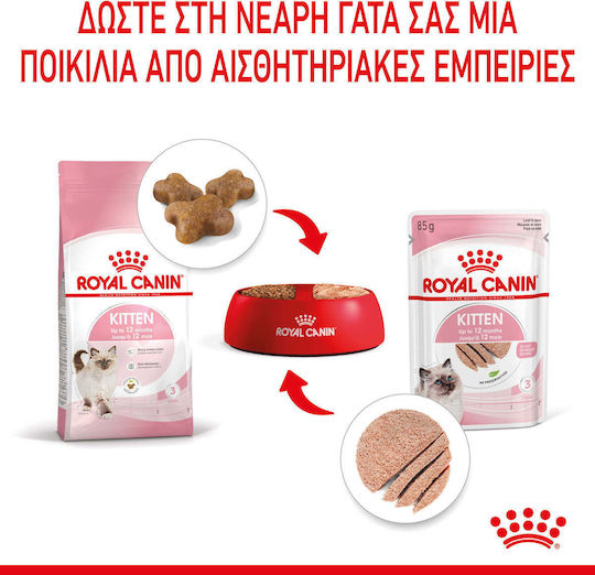 Royal Canin Wet Food for Young Cats in Pouches with Tuna Diet 85gr