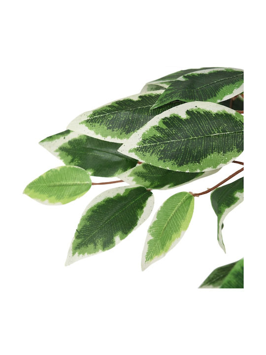 Ficus Lyrata Copac În Aer Liber 180cm vidaXL