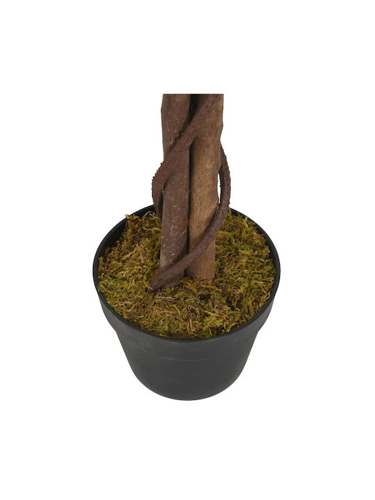 Ficus Lyrata Copac În Aer Liber 180cm vidaXL