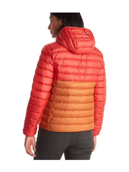 Marmot Marmot