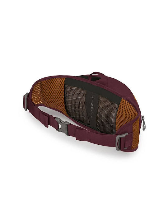 Osprey Bum Bag pentru Talie Violet