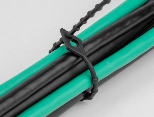 DeLock Δεματικά Καλωδίων Πλαστικά 150mmx2.4mm σε Μαύρο χρώμα (100τμχ) (19568)