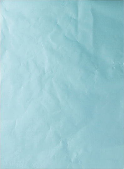Aluminum Leaf 17x12.5cm