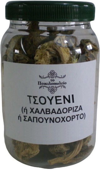 Seifenkrautwurzel 100g