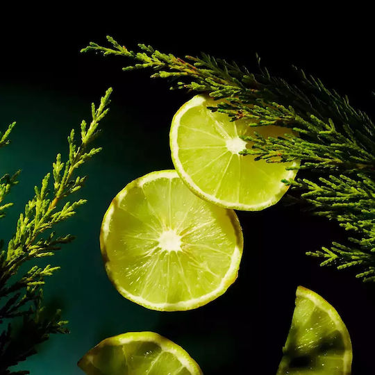 Rituals Homme - Anti-Ageing Αντιγηραντική Ανδρική Κρέμα Προσώπου με Νιασιναμίδη & Πεπτίδια 50ml