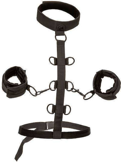 Calexotics Boundless Ιμάντες Ακινητοποίησης σε Πράσινο Χρώμα