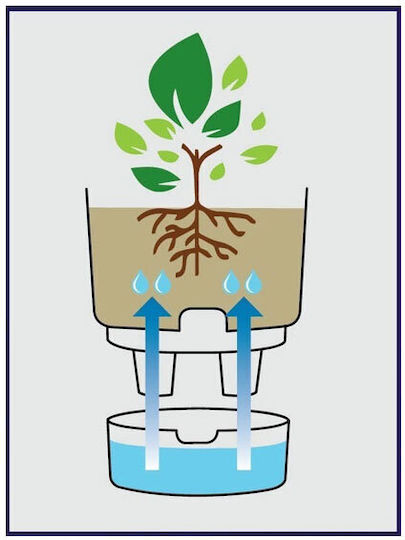 Viomes Vita Self-watering Pot Plastic 20x20x18cm.