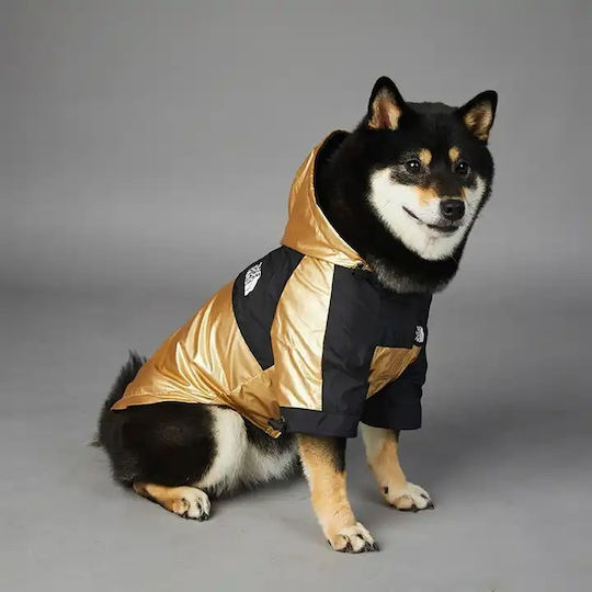 Gold Waterproof Dog Coat with Hood