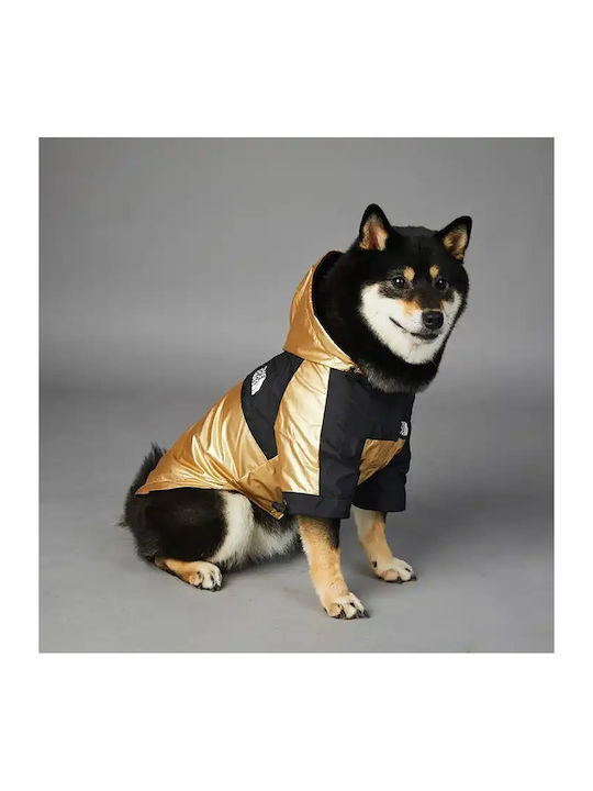 Hundemantel Wasserdicht Kapuzen Gold
