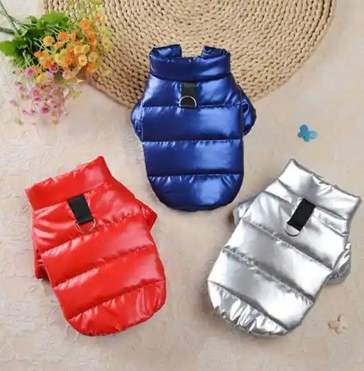 Silver Dog Coat