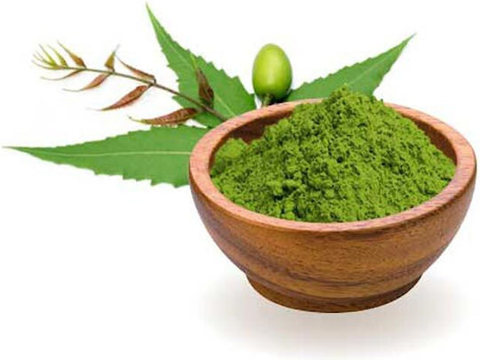 Organic India Bio Neem σε Σκόνη 100gr