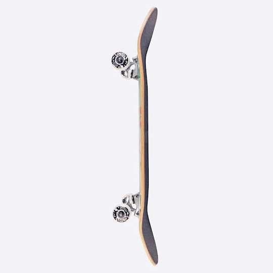 DGK Scribble Complete Shortboard