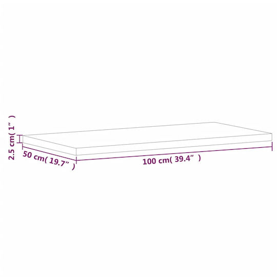 vidaXL Wood Countertop without Sink L100xW50xH2.5cm Beech wood solid wood