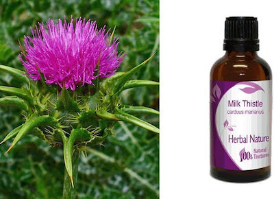 Nature & Body Βάμμα Distel 50ml Mariendistel