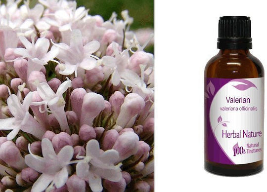 Nature & Body Tinctură Tinctură 10ml