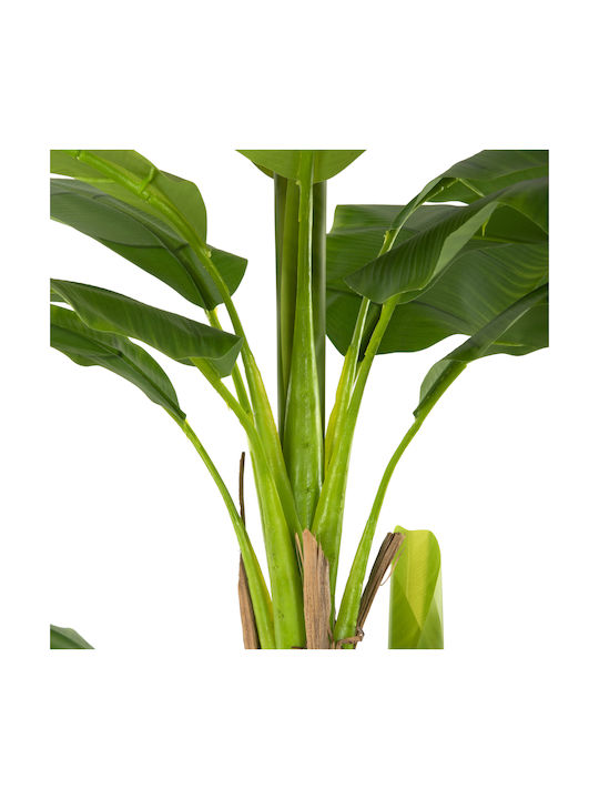 Künstliche Pflanze im Töpfchen Musa Grün 17cm HomeMarkt