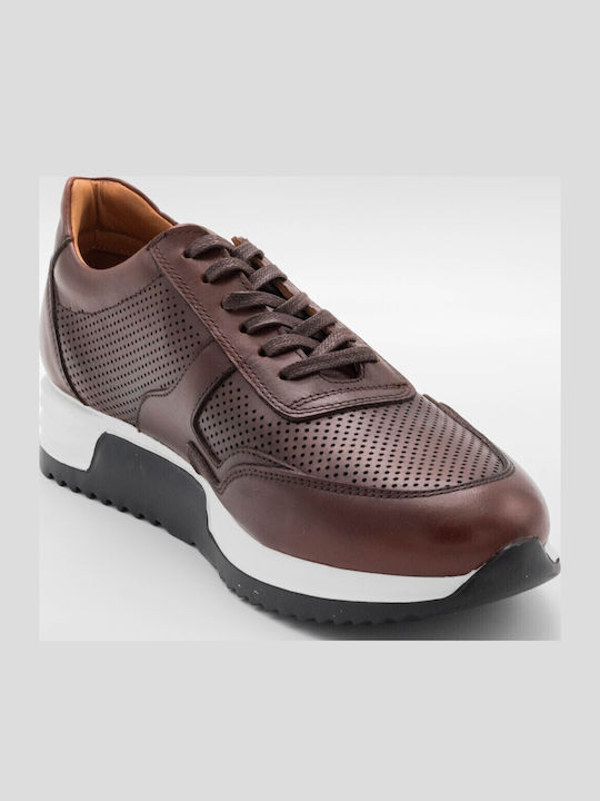 Anatomical Sneakers Tabac Brown