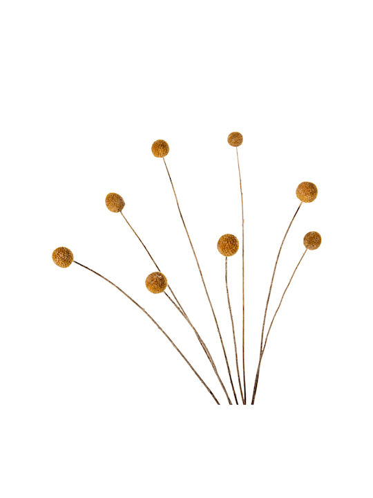 Getrocknete Pflanze Gelb 63cm HomeMarkt