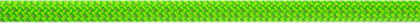 Beal Virus Standard Dynamic Climbing Rope with Length 60m Green