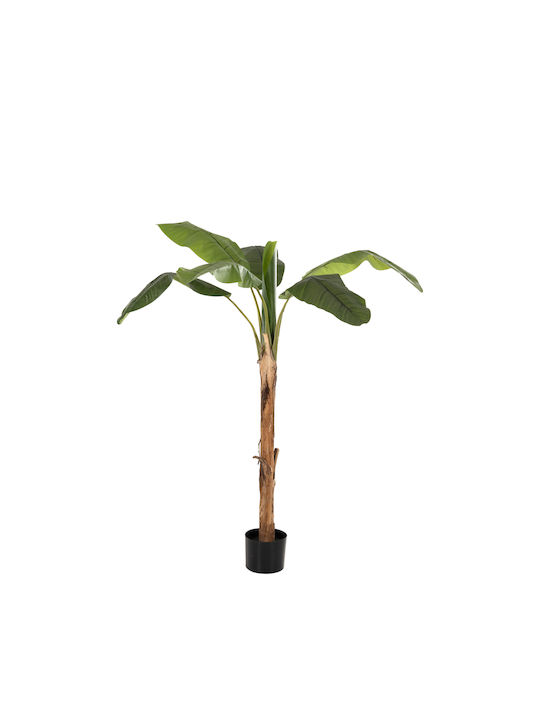 Plantă Artificială în Ghiveci Mic Musa Green 17cm Freebox