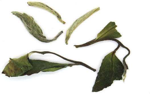 O Dromos tou Tsagiou White Tea Bai Mu Dan 50gr