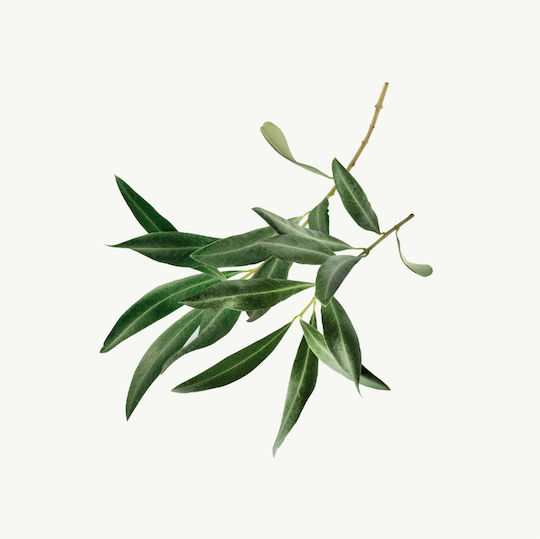Aeolis Deep Nourishing Αφρόλουτρο σε Gel με Υαλουρονικό Οξύ & Άρωμα Ωκεανός 250ml