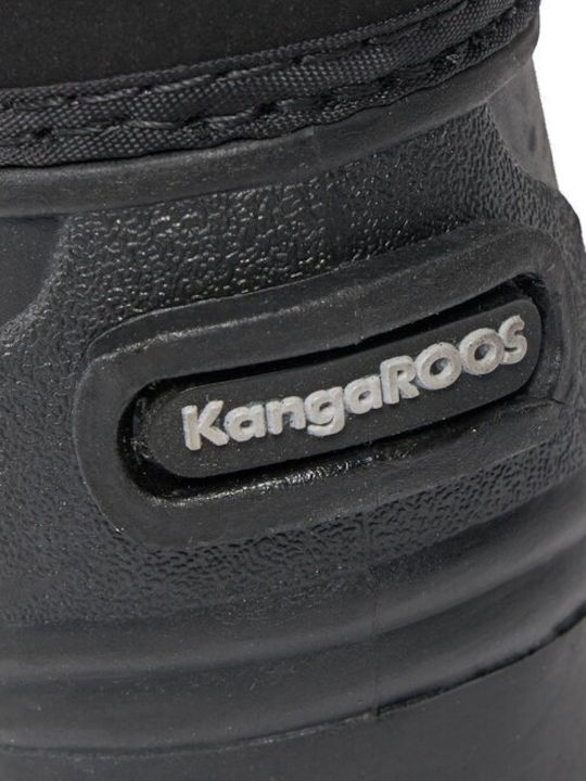 Kangaroos