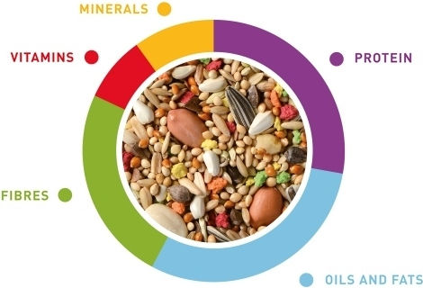 Padovan Grandmix Τροφή για Μεσαίους Παπαγάλους 850gr