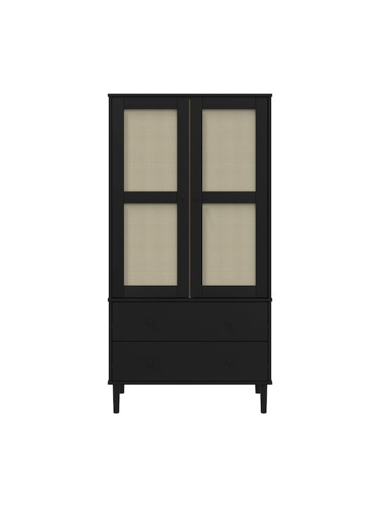 Δίφυλλη Ντουλάπα με Καθρέπτη Μαύρο 90x55x175cm