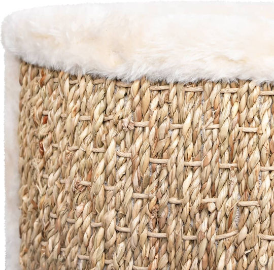 vidaXL Κρεβάτι Γάτας Μπεζ 36cmx36cm