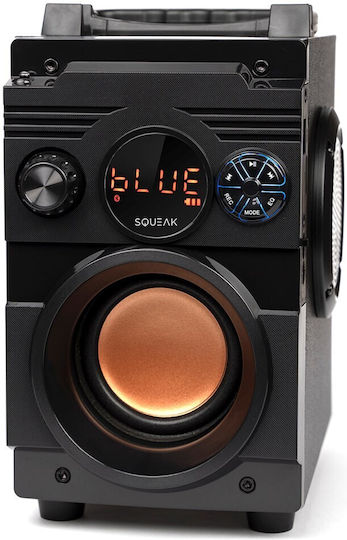 Squeak SQ1001 Bluetooth Speaker 20W with Radio Black