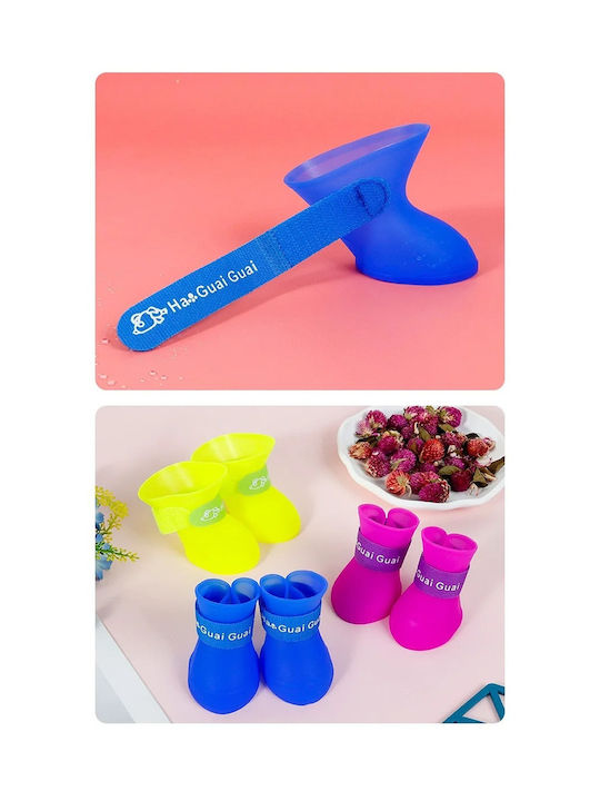 Shoes Dog in Blue Color