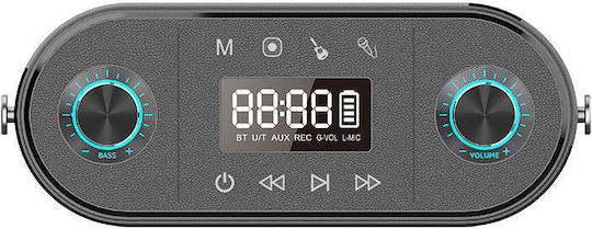 W-King Boxă Karaoke cu Microfon Wireless H10 S Negru
