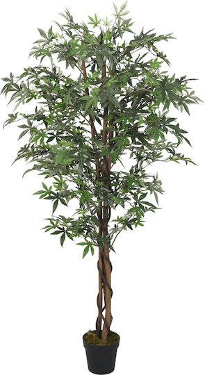 Σφένδαμος σε Γλάστρα 80cm vidaXL