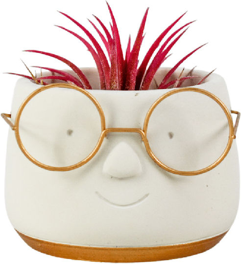 Golden Dude Plant Pot White Golden Dude Plant Pot White