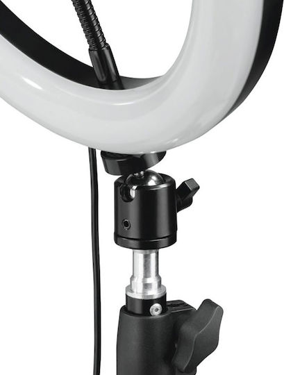 Volte-Tel Ring Light 33.02cm και Βάση για Κινητό