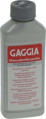 Gaggia Decalcificante Καθαριστικό Καφετιέρας 250ml