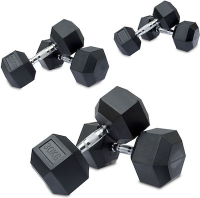 Pegasus Rubber Hexagon Dumbbell 1 x 12.5kg