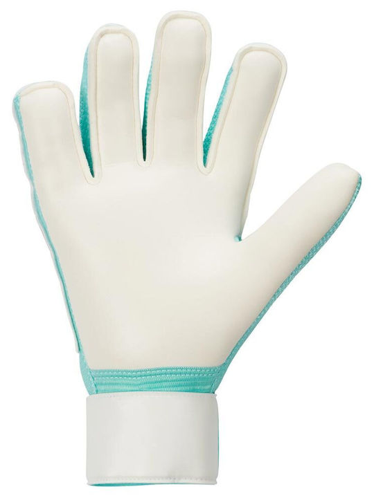 Nike Match Adults Goalkeeper Gloves Multicolour