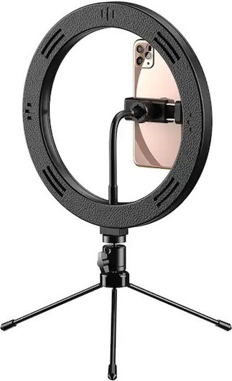 Apexel APL-FL10JJ13Y Ringlicht 26cm mit Bodenstativ mit Desktop Ständer und Handyhalter