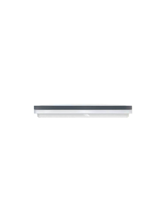 Modee Lighting Ceiling Mount Light 33cm Black with Integrated LED